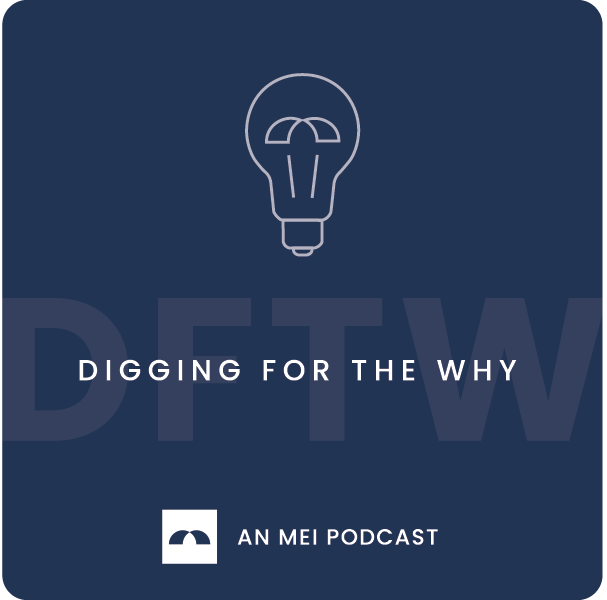 Digging for the Why podcast logo